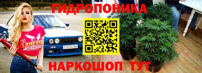 мет Камышлов