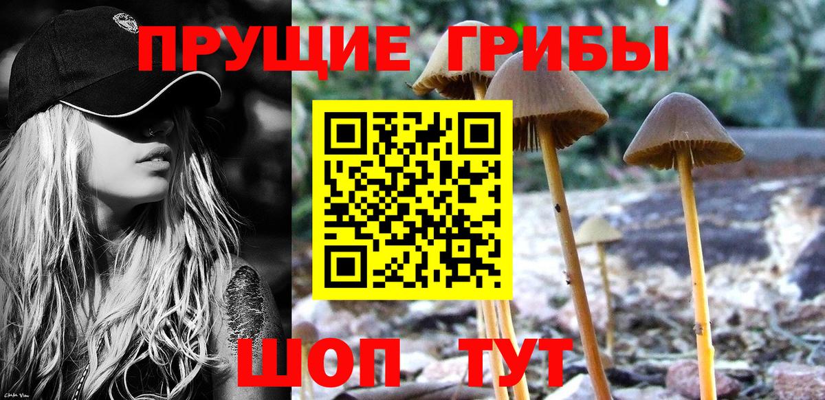 Курчатов  Галлюциногенные грибы мухоморы  Вход с VPN  Псилоцибиновые грибы Magic Shrooms 