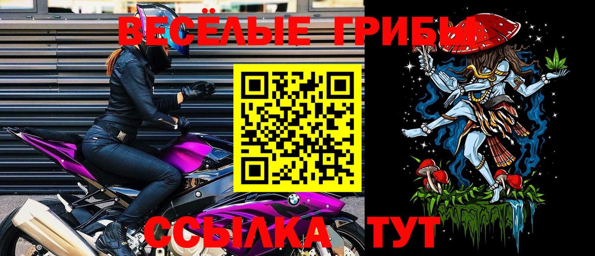 Галлюциногенные грибы мухоморы Курчатов